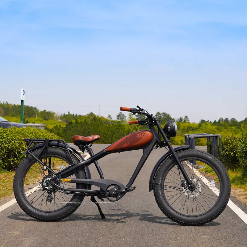 OEM 750W Heißes Elektro-Vintag – Road Bike Tire Bewertung und Preis
