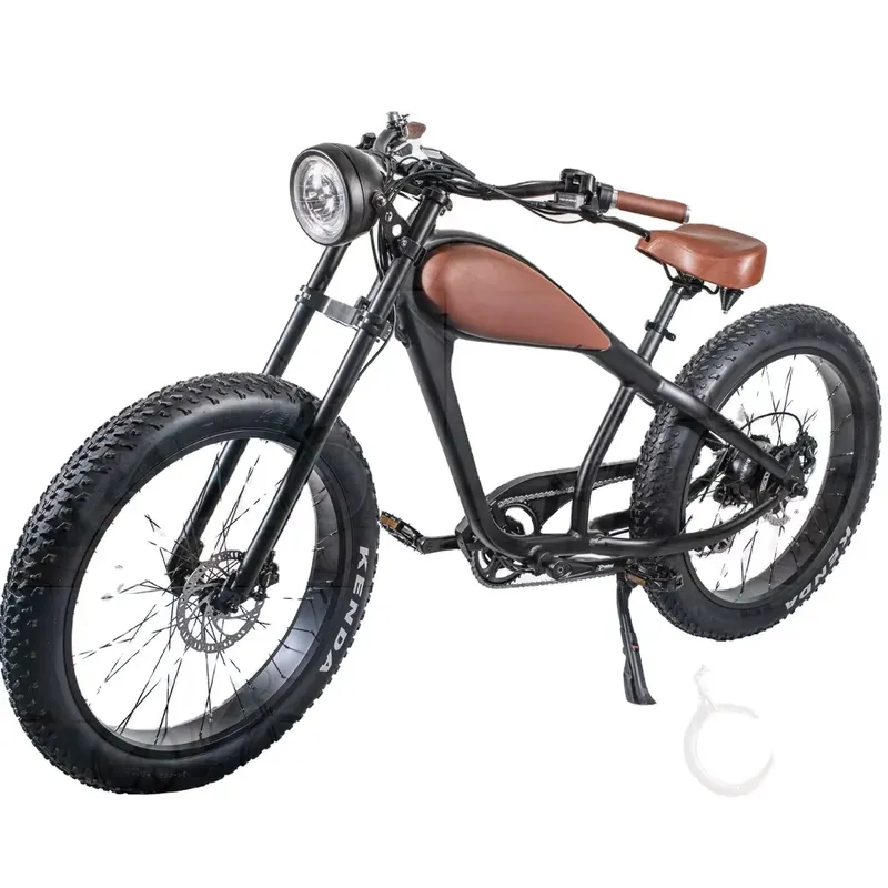 OEM 750W Heißes Elektro-Vintag – Road Bike Tire Bewertung und Preis