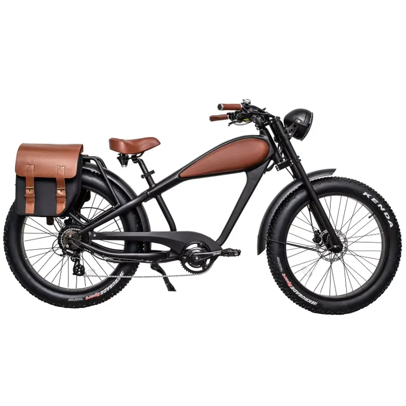 OEM 750W Heißes Elektro-Vintag – Road Bike Tire Bewertung und Preis